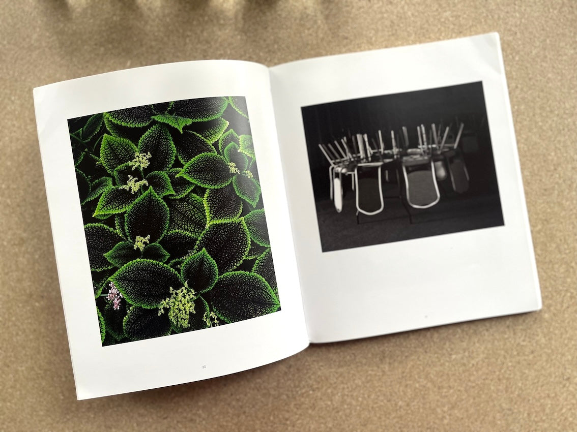 Juliane Eirich – Iași Mega Images