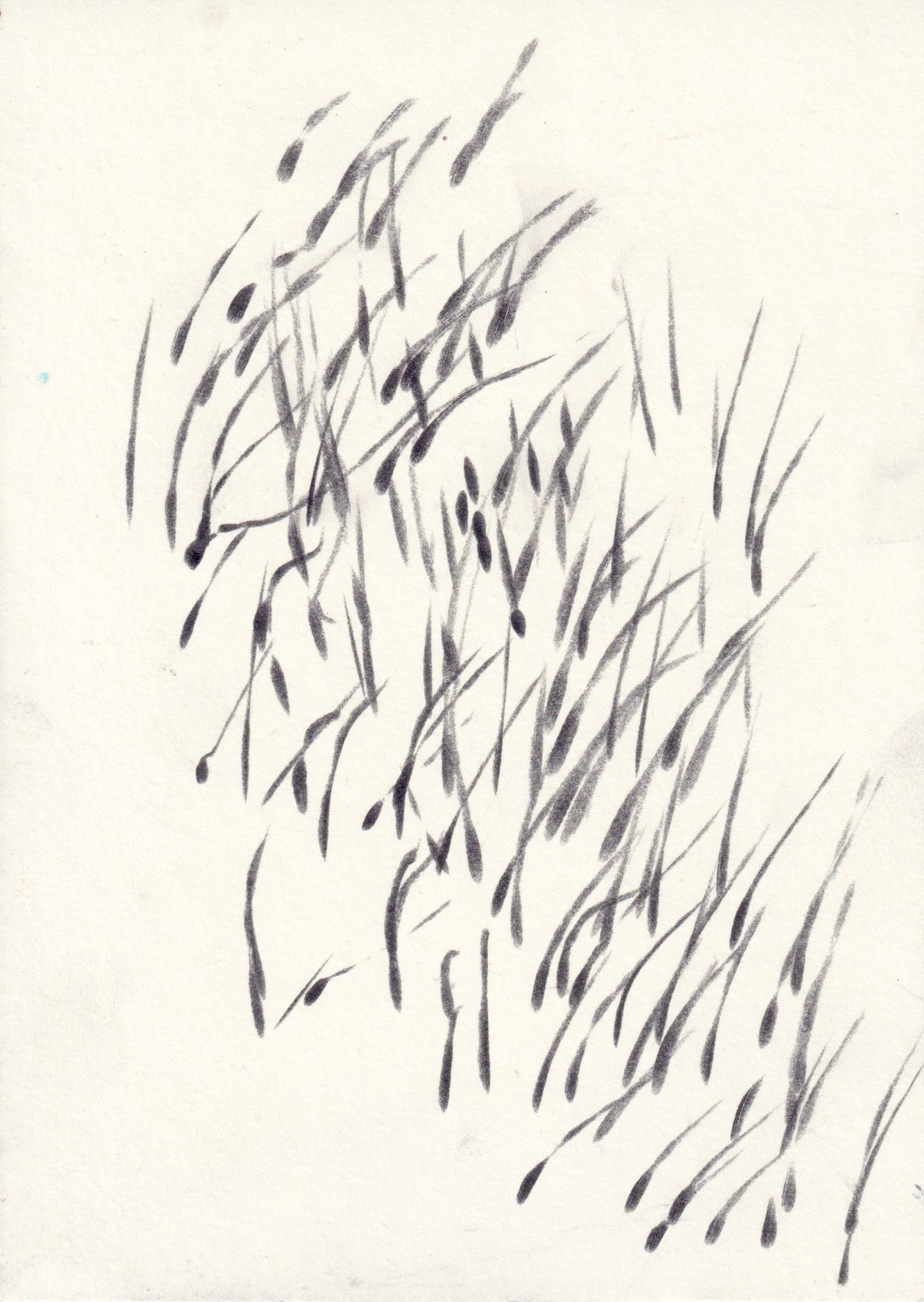 Die Zeichnung von Forster Herchenbach zeigt viele Graphitstrich, die sehr schnell auf das Papier gesetzt scheinen. Die Striche bilden eine Fläche, die von links oben nach rechts unten verläuft. 