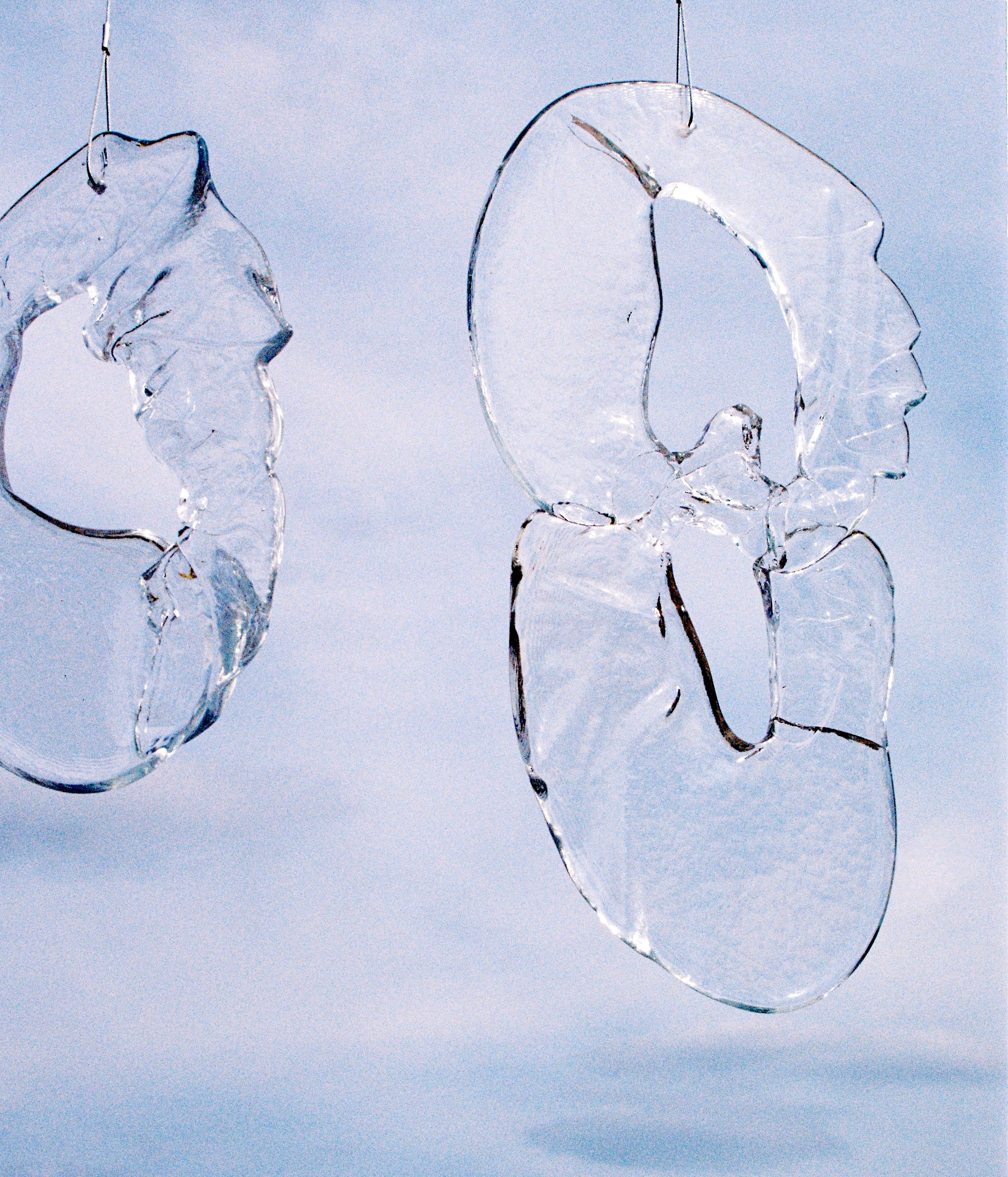 Marieke Niemann — Shifting Light