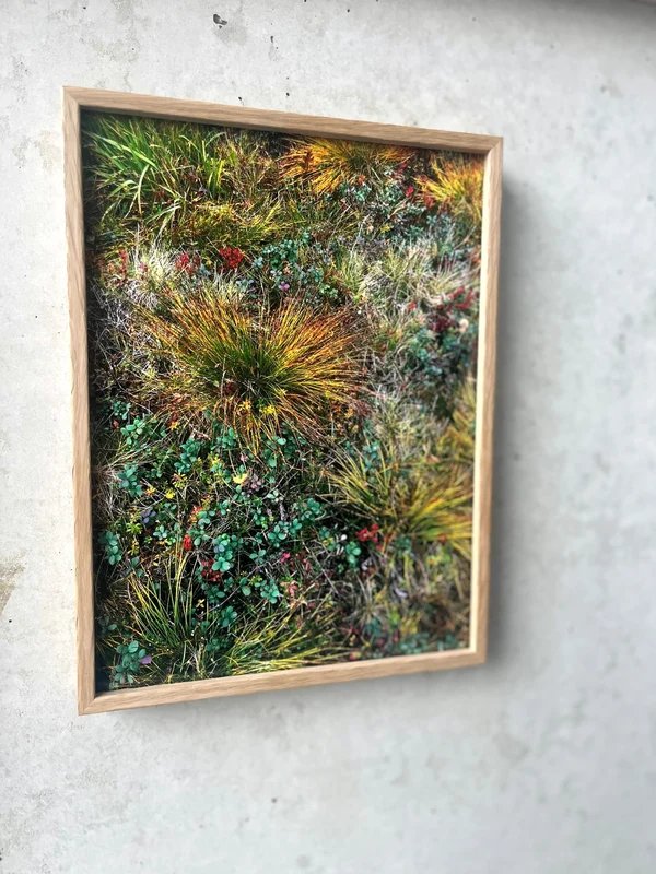 Juliane Eirich: „Grass“
