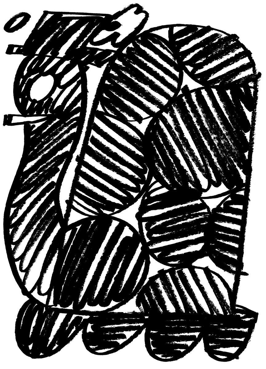 Sebastian Haslauer — Tortuga